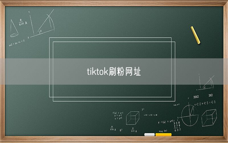 tiktok刷粉网址