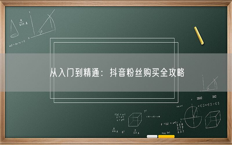 从入门到精通：抖音粉丝购买全攻略