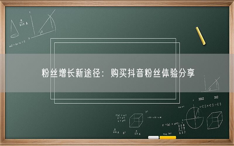 粉丝增长新途径：购买抖音粉丝体验分享