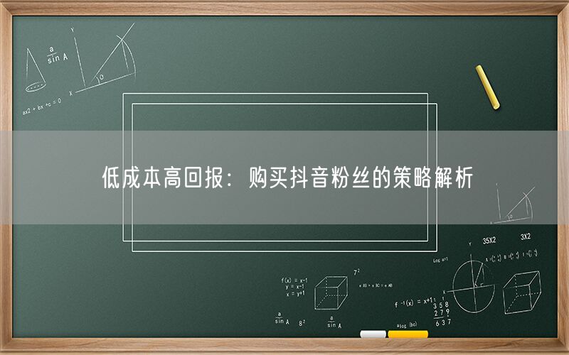 低成本高回报：购买抖音粉丝的策略解析